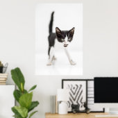 Poster Little Cat (Bureau à domicile)