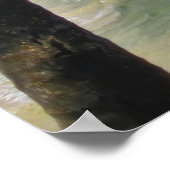 Poster Little Corn Island (Coin)