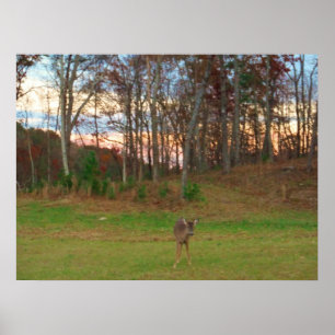 Poster Little Deer et un SunSet rose