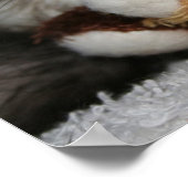 Poster Little Dooks Penny (Coin)