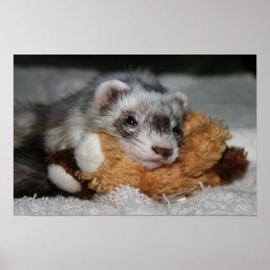 Poster Little Dooks Penny (Devant)