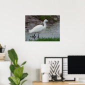 Poster Little Egret (Bureau à domicile)