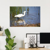 Poster Little Egret (Bureau à domicile)