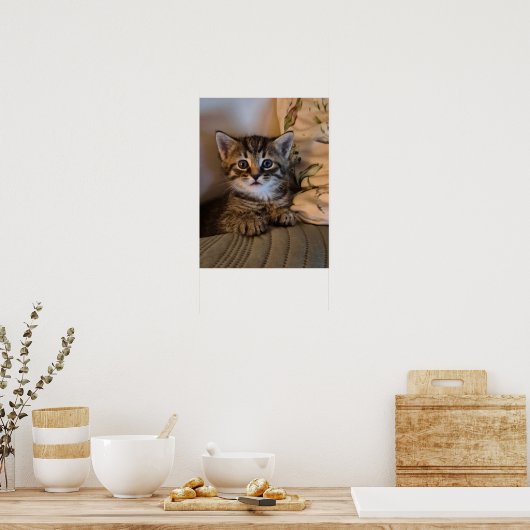 Poster Little kitty (Cuisine)