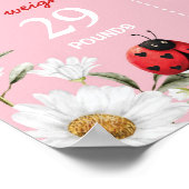 Poster Little Love Bug Ladybug Birthday Milestone Sign (Coin)
