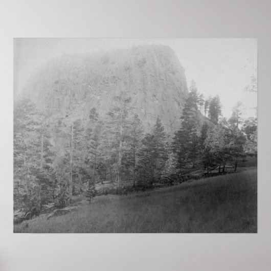 Poster Little Missouri Butte Beyod Champ et arbres (Devant)