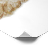 Poster Little Owl 2011 (Coin)