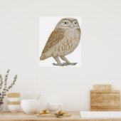Poster Little Owl 2011 (Cuisine)