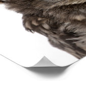 Poster Little Owl wearing a straw a (Coin)