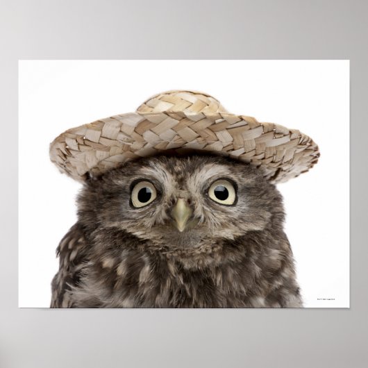 Poster Little Owl wearing a straw a (Devant)