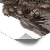 Poster Little Owl wearing a straw a (Coin)