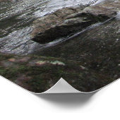 Poster Little Pigeon (Coin)