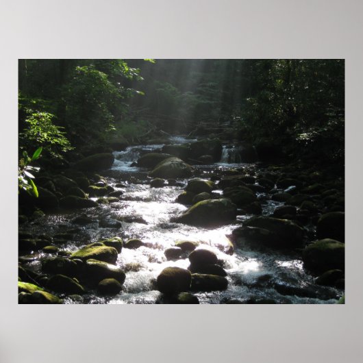Poster Little Pigeon River 2 (Devant)