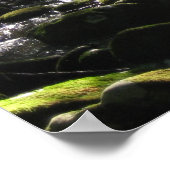 Poster Little Pigeon River 2 (Coin)