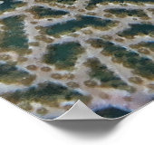 Poster Little Puffer et Fan Coral (Coin)