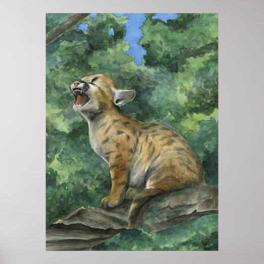 Poster Little Puma (Devant)