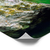 Poster Little Qualicum (Coin)