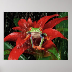 Poster Little_Rain_(4)