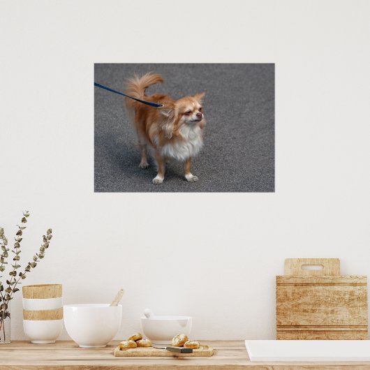 Poster Little Redhead (Cuisine)