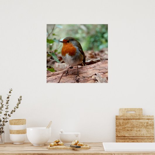 Poster Little Robin (Cuisine)