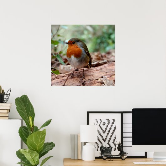 Poster Little Robin (Bureau à domicile)
