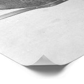 Poster Little Rodeo Star : 1923 (Coin)