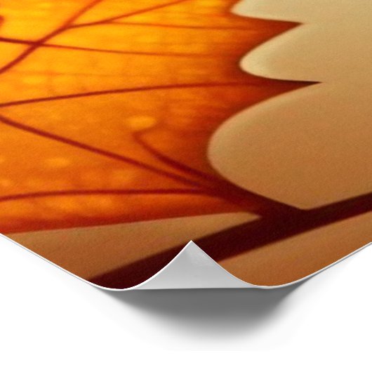 Poster Little Turkey 3 (Coin)