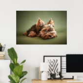 Poster Little Yorkie (Bureau à domicile)