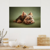 Poster Little Yorkie (Cuisine)
