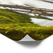 Poster Little Zig Zag Falls | Forêt nationale du mont Hoo (Coin)