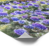 Poster Littoral de Big Sur (Coin)