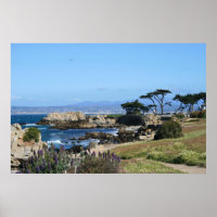 Littoral de la baie de Monterey, photo du printemp