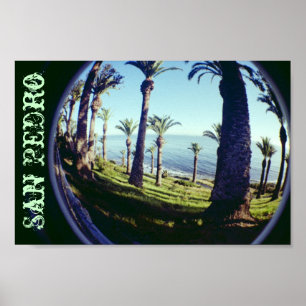Poster Littoral de palmiers de San Pedro d'oeil de