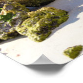 Poster Littoral | Naples Pier, sud-ouest de la Floride (Coin)