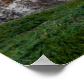 Poster Littoral | Parc national Acadia, Maine (Coin)