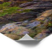 Poster Littoral | Parc national Acadia, Schooner Head (Coin)