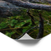 Poster Littoral | Parc national Ravens Nest Acadia Maine (Coin)