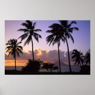 Poster Littoral St. Kitts