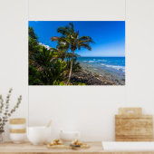 Poster Littoral tropical (Cuisine)