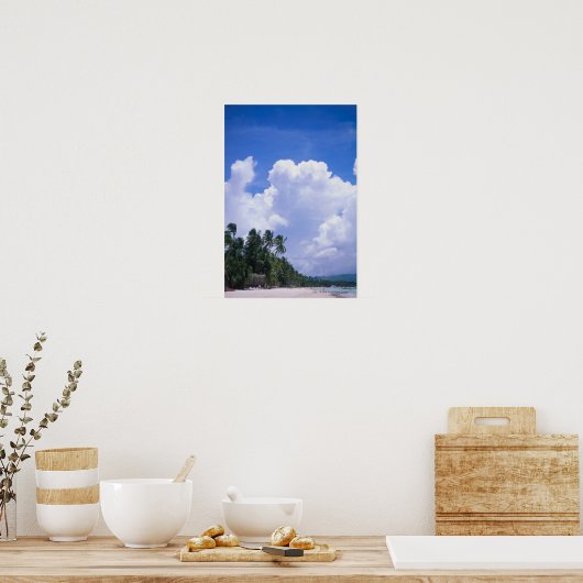 Poster Littoral tropical (Cuisine)