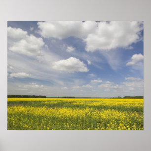 Poster Lituanie, Lituanie, Lituanie centrale, Joniskis, c