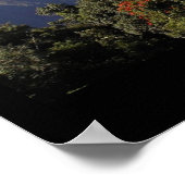 Poster Live Aloha (Coin)