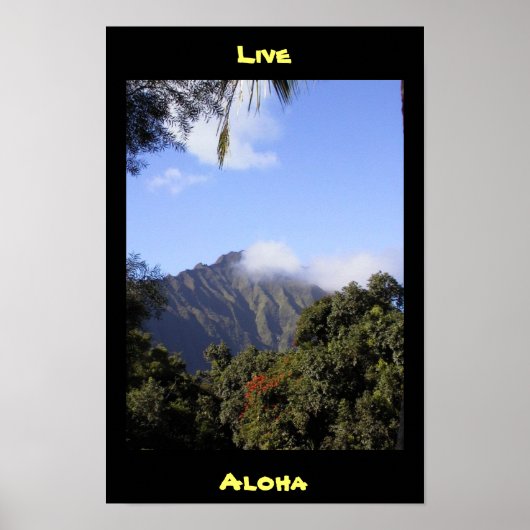 Poster Live Aloha (Devant)