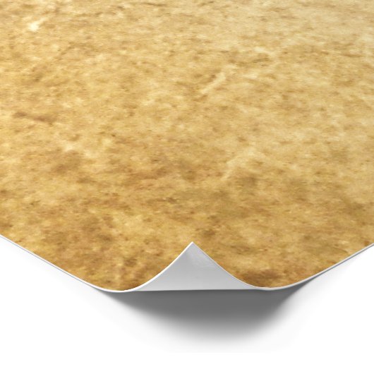 Poster Live and Let Live (programmes en 12 étapes) (Coin)