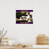 Poster "Live Free", Smiler, cute, cat, gift (Cuisine)