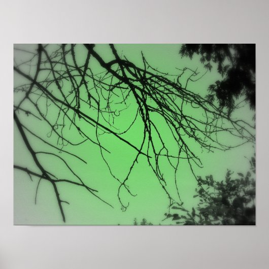 Poster Live Green (Devant)