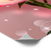 Poster Live Laugh Love Roses (Coin)