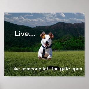 Poster "Live Like One Left Gate Open"