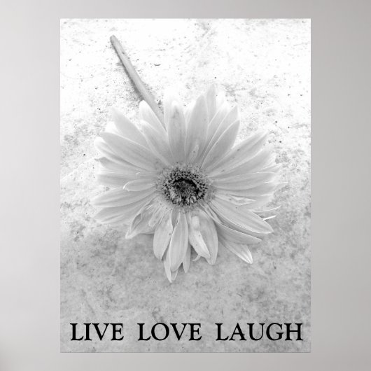 Poster Live Love Laugh Black and White Gerber Daisy (Devant)