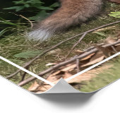 Poster Live With Spirit (Coin)